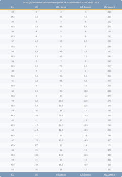 international shoe sizes